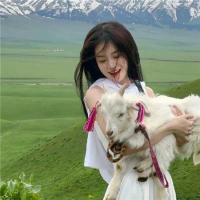 教练报到 封面